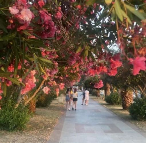 093d96e7-e725-437c-827c-43c246f7002b