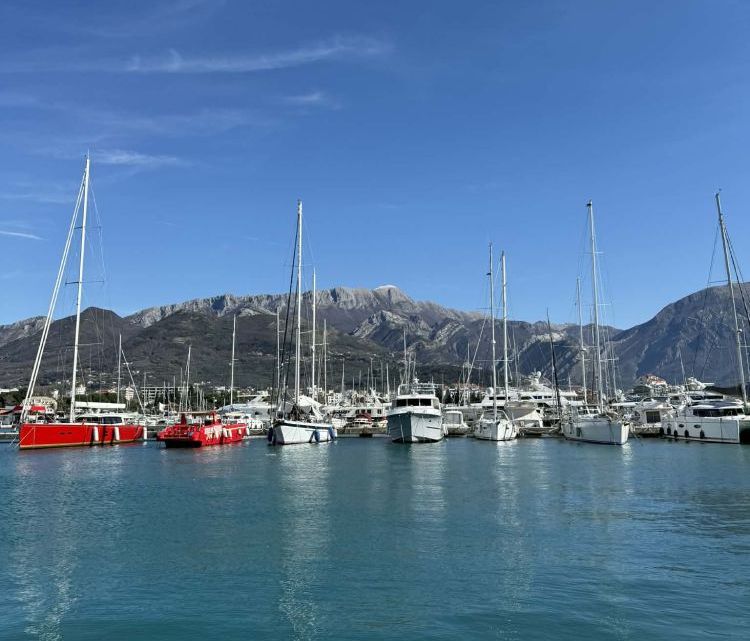 c787bba0-23ad-49c6-90ad-4b231005a5f9