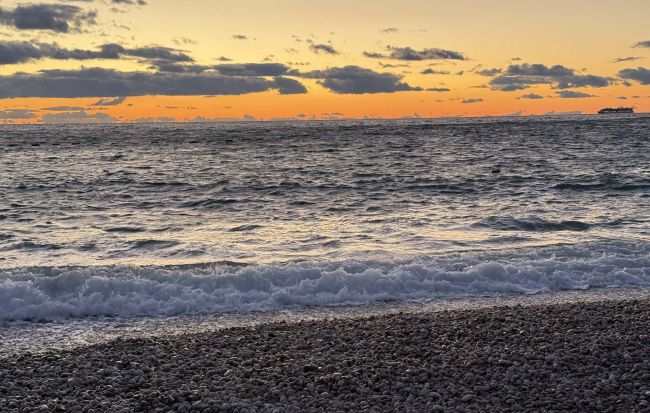 fd439688-a6ac-4a58-b97c-276609f5bc29